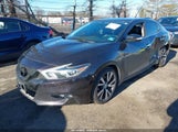 Nissan Maxima 3.5 Platinum/3.5 S/3.5 Sl/3.5 Sr/3.5 Sv 1N4AA6AP2HC380295 fotografie