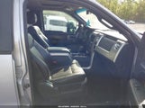 Miniaturka zdjęcia 5