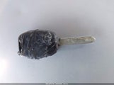 Miniaturka zdjęcia 11