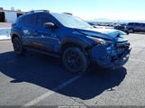 Subaru Crosstrek Wilderness 4S4GUHU67R3792929 снимка