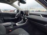 Toyota Rav4 Le 2T3G1RFVXPW329801 снимка