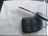 Miniaturka zdjęcia 11