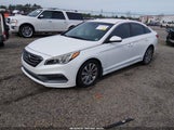Hyundai Sonata Sport 5NPE34AF5GH274492 photo