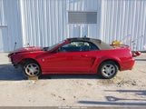Ford Mustang 1FAFP4441XF147239 снимка