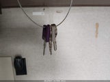 Miniaturka zdjęcia 11