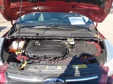 Ford Escape Se 1FMCU0GXXEUB95055 снимка