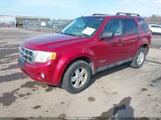 Ford Escape Xlt 1FMCU03Z68KC65660 снимка