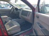 Ford Escape Xlt 1FMCU03Z68KC65660 снимка