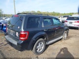 Ford Escape Xlt 1FMCU93G99KA57759 снимка