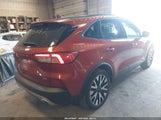 Ford Escape Se Sport Hybrid 1FMCU0BZ3LUB11857 fotografie