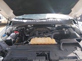 Ford F-150 Xlt 1FTEW1EP9HKC87953 снимка