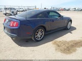 Ford Mustang V6/V6 Premium 1ZVBP8AN5A5165881 photo