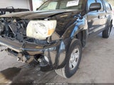 Toyota Tacoma Base V6 5TEMU52N86Z189565 fotografie