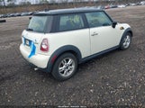 Miniaturka zdjęcia 4