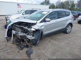 Ford Escape Titanium 1FMCU9JX9EUC03482 fotografie
