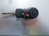 Miniaturka zdjęcia 11
