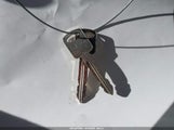 Miniaturka zdjęcia 11