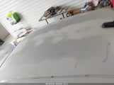 Miniaturka zdjęcia 6