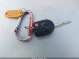 Miniaturka zdjęcia 11