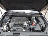 Toyota Camry Se JTNB11HK7J3002891 fotografie
