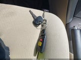 Miniaturka zdjęcia 11