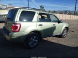 Ford Escape Xlt 1FMCU03198KB33891 снимка