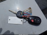 Miniaturka zdjęcia 11