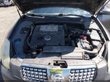 Nissan Maxima 3.5 Sl 1N4BA41E65C822353 снимка