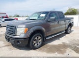 Ford F-150 Fx4/Harley-Davidson/King Ranch/Lariat/Platinum/Xl/Xlt 1FTFW1EV8AFC51446 photo