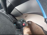Miniaturka zdjęcia 11
