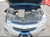 Chevrolet Equinox 1Lt 2GNALDEK9D1185552 снимка