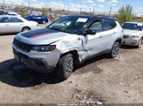 Jeep Compass Trailhawk 4X4 3C4NJDDNXRT145028 снимка