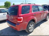 Ford Escape Xlt 1FMCU03108KC32146 снимка