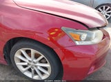 Miniaturka zdjęcia 6
