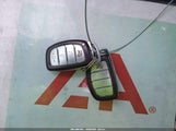 Miniaturka zdjęcia 11