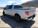 Ford F-150 Fx2 Sport/Harley-Davidson/King Ranch/Lariat/Platinum/Xl/Xlt 1FTFW1CV5AFA96650 fotografie
