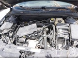 Miniaturka zdjęcia 10