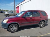 Honda Cr-V Lx JHLRD68506C010987 снимка