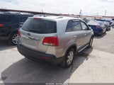 Miniaturka zdjęcia 4