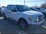 Ford F-150 Xlt 1FTFW1ET2DFD09439 снимка