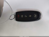 Miniaturka zdjęcia 11