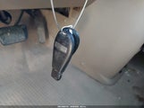 Miniaturka zdjęcia 11