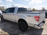 Ford F-150 Fx4/Harley-Davidson/King Ranch/Lariat/Platinum/Xl/Xlt 1FTFW1EV7AFA20862 снимка