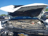 Chevrolet Silverado 2500Hd 4Wd Long Bed Work Truck 1GC4YLEY8RF267259 photo