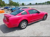 Ford Mustang V6 Deluxe/V6 Premium 1ZVHT80N485191115 fotografie