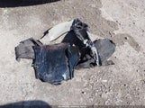 Volkswagen Beetle 2.5L 3VWJP7AT8EM631310 снимка
