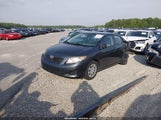 Toyota Corolla Le 2T1BU4EE9AC461519 снимка