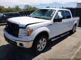 Ford F-150 Fx2 Sport/Harley-Davidson/King Ranch/Lariat/Platinum/Xl/Xlt 1FTFW1CV1AFB04081 fotografie