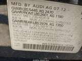 Miniaturka zdjęcia 9