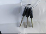Miniaturka zdjęcia 11